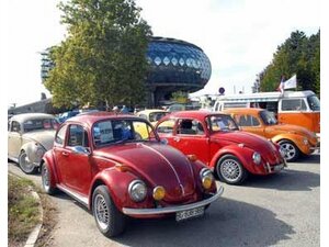 Udruzenje ljubitelja "buba" proslavilo 2 rodjendan