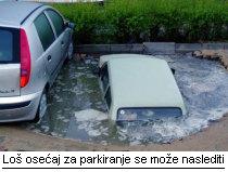 Vozačke mane se nasleđuju