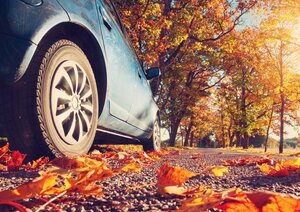 „All Season“ gume – odlično rešenje ili loš kompromis?