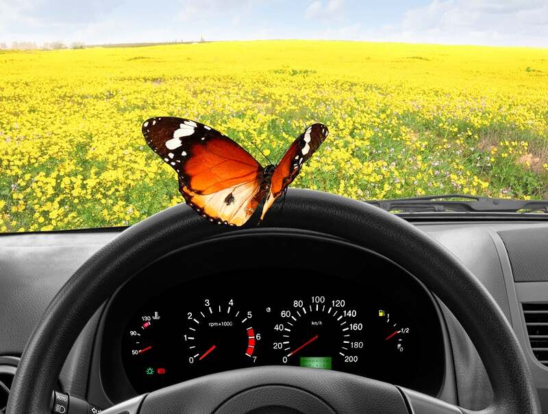 Kako pripremiti auto za proleće i leto?