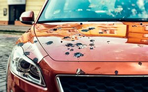 5 načina kako zaštititi lak na automobilu