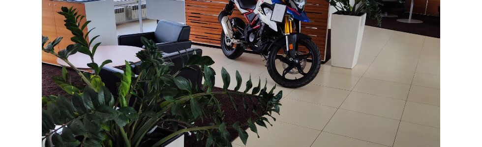 dealer-image