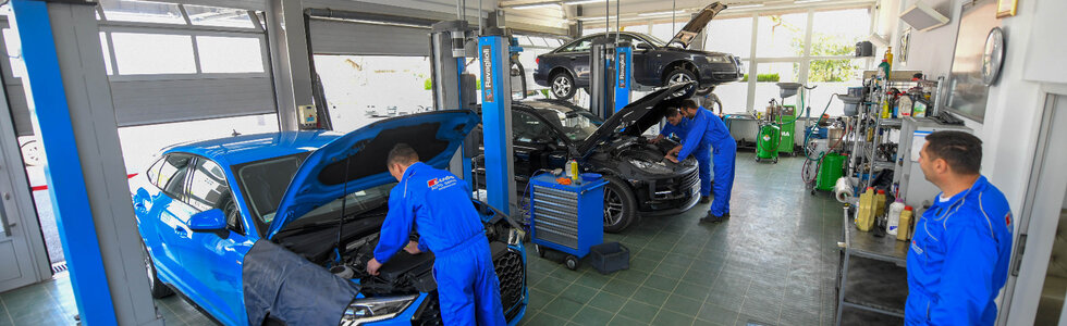 dealer-image