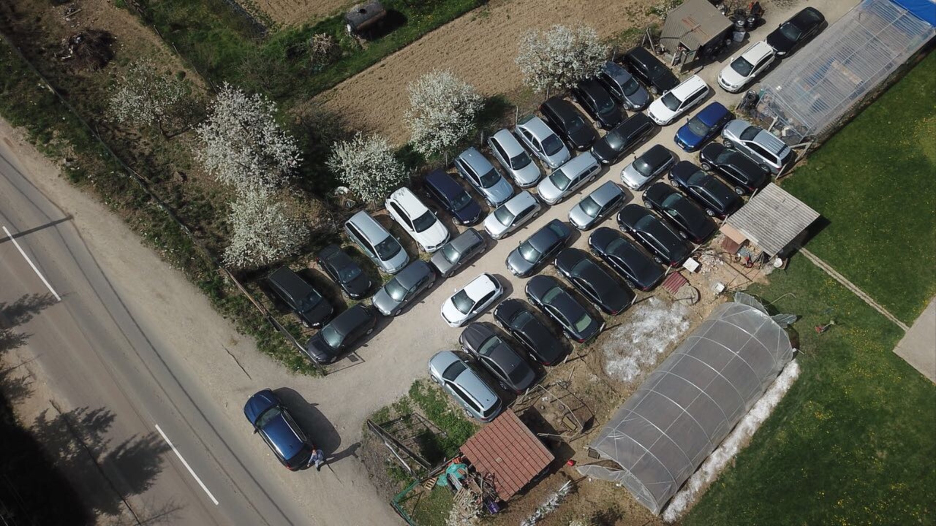 dealer-image