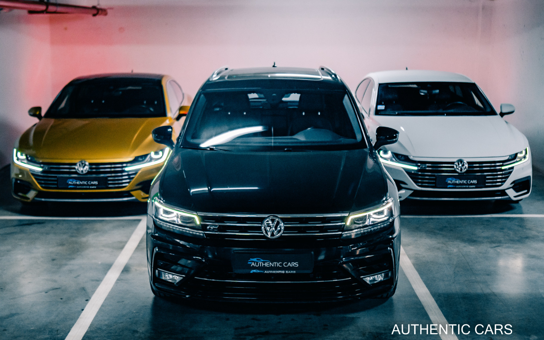 dealer-image