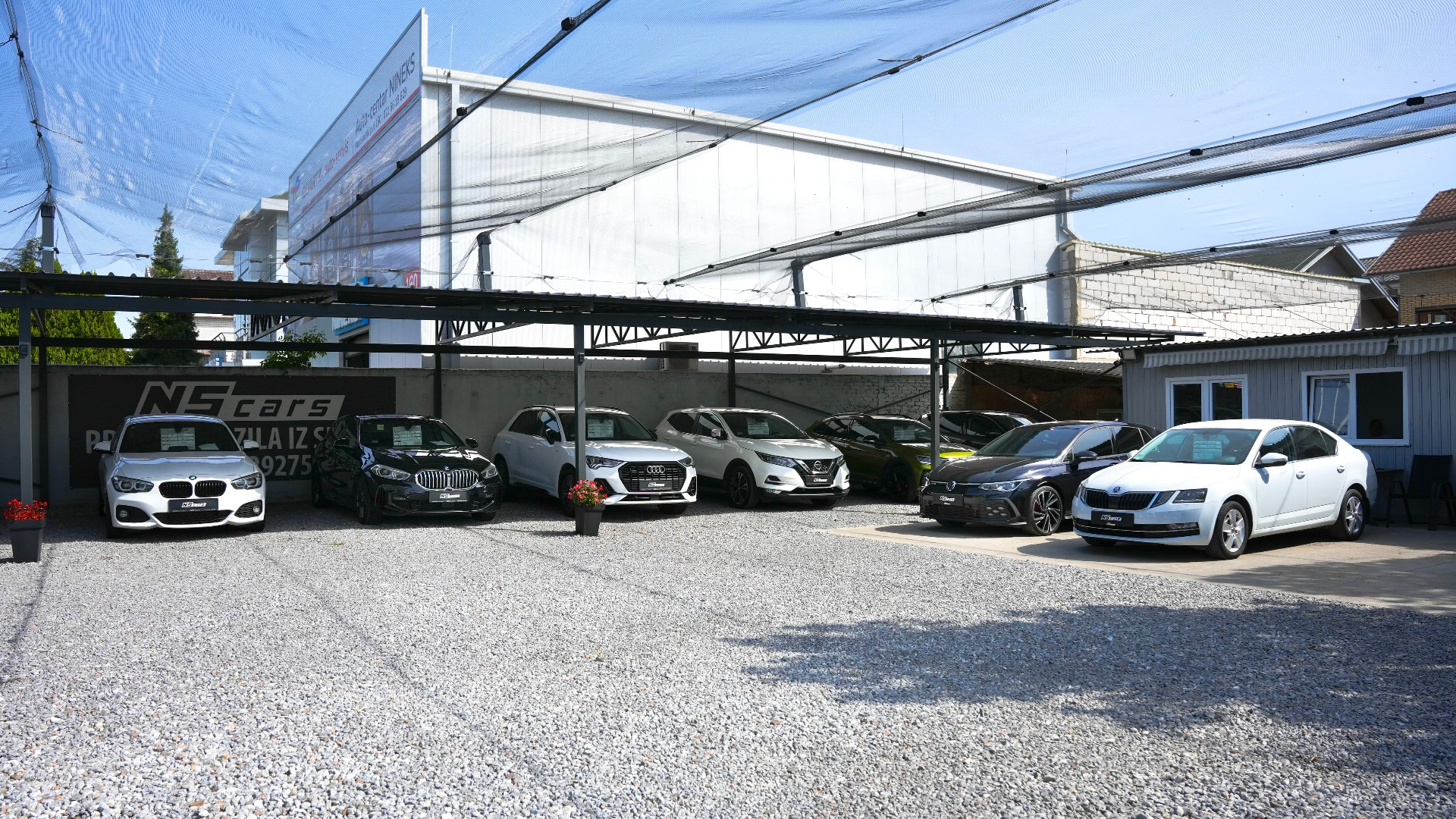 dealer-image
