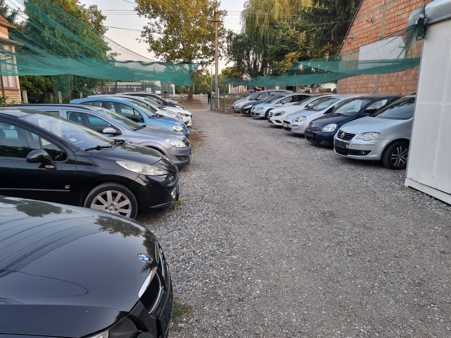 dealer-image