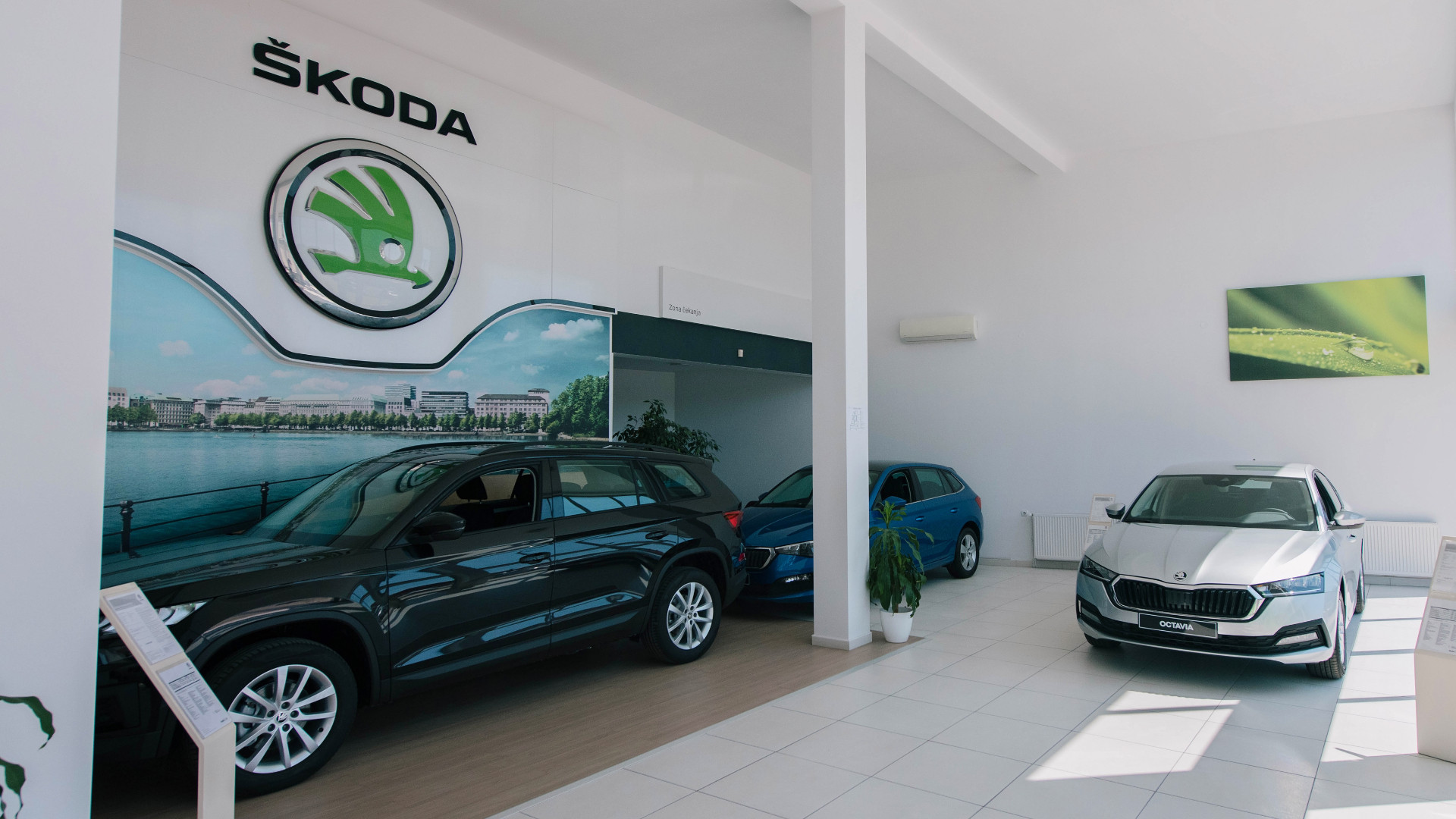 dealer-image