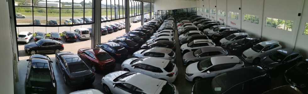 dealer-image