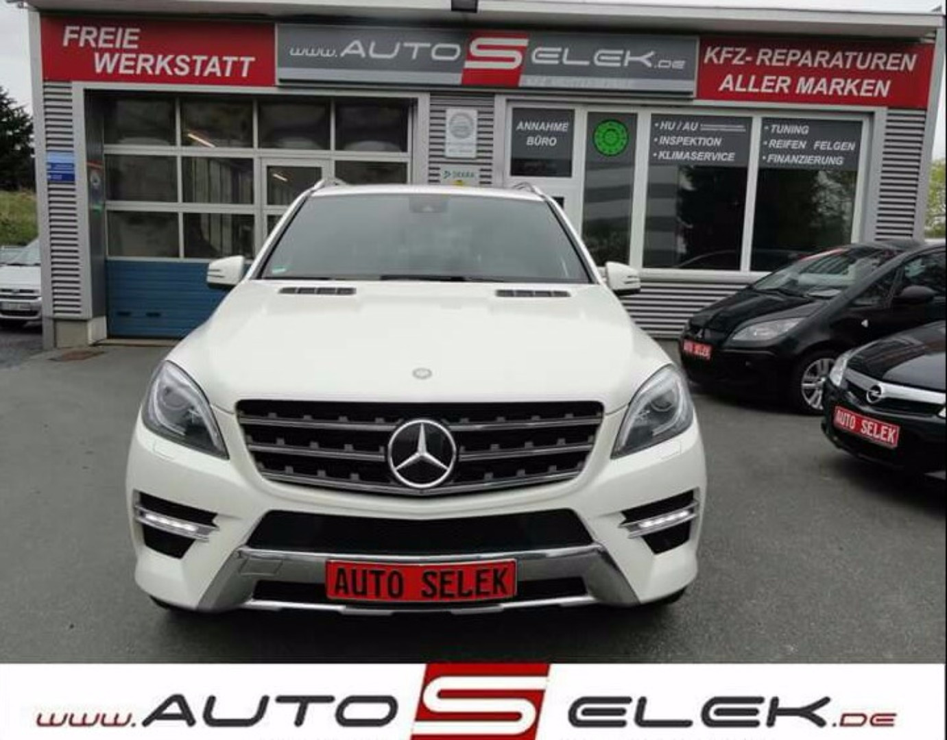 dealer-image