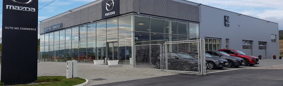 dealer-image