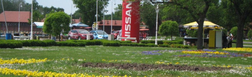 dealer-image