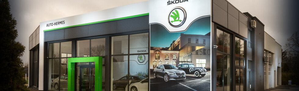 dealer-image