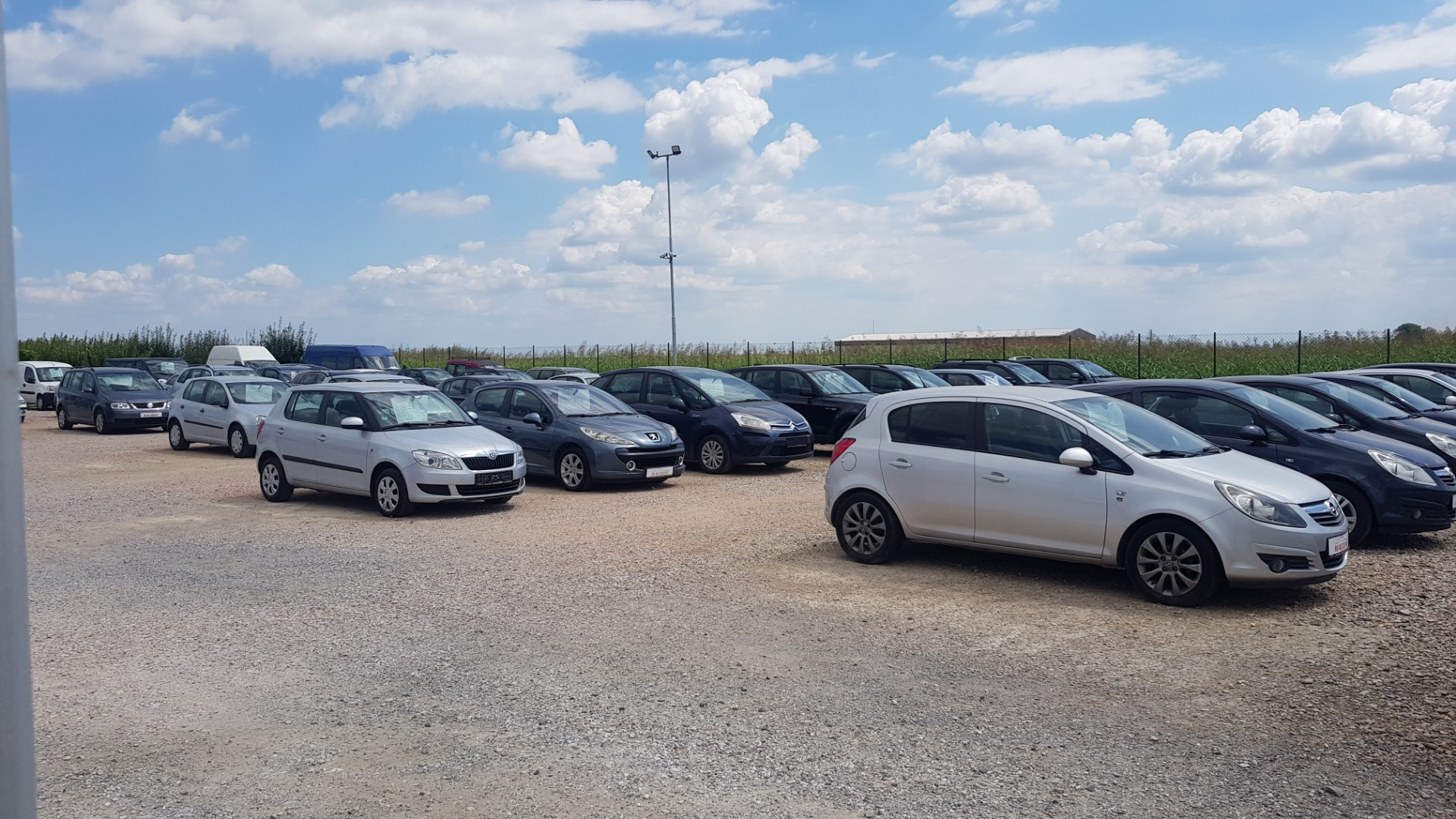 dealer-image