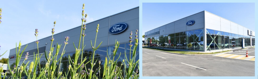 dealer-image