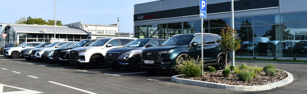 dealer-image