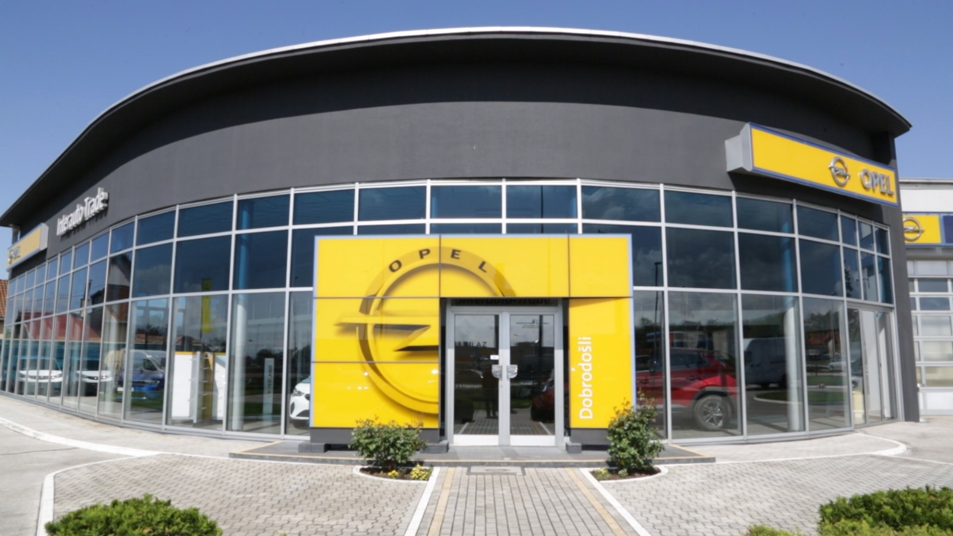 dealer-image