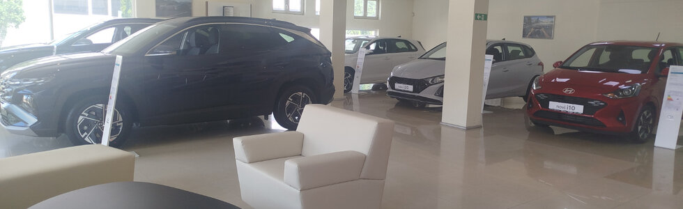 dealer-image