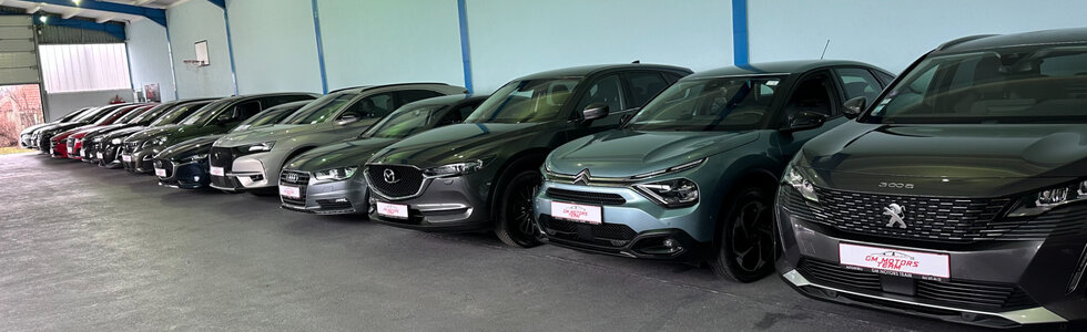 dealer-image