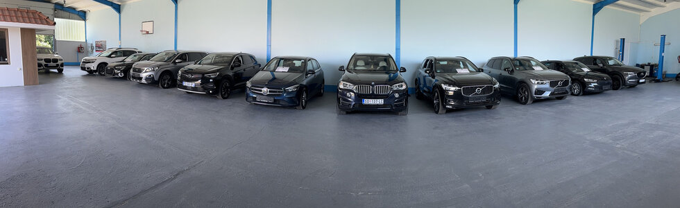 dealer-image