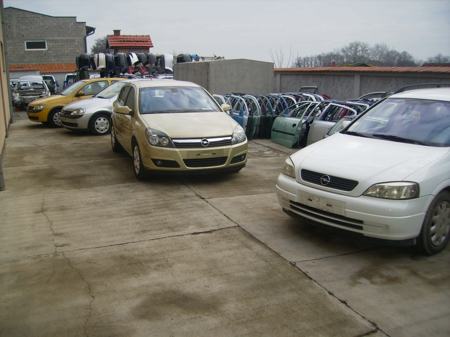 dealer-image