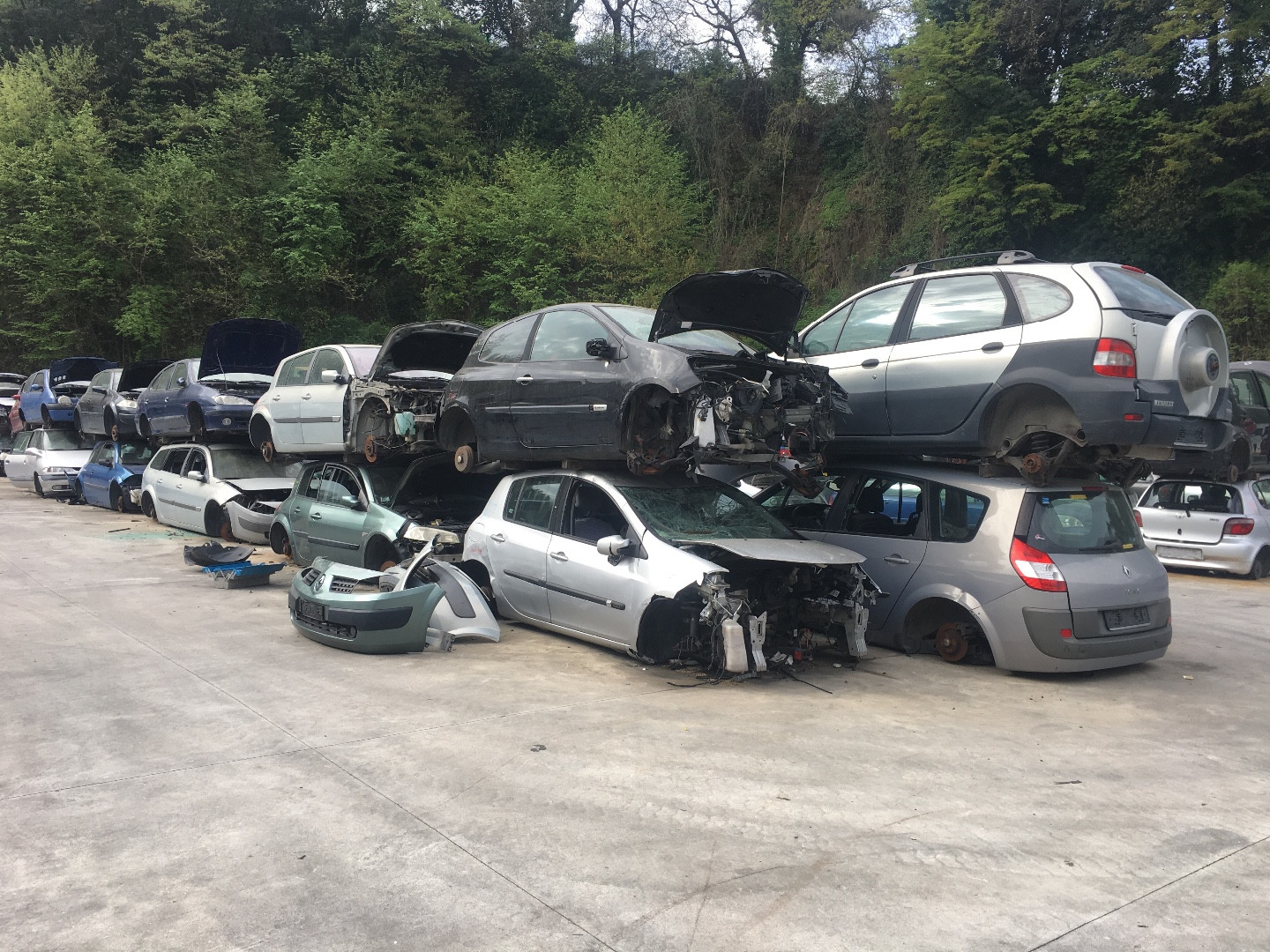 dealer-image