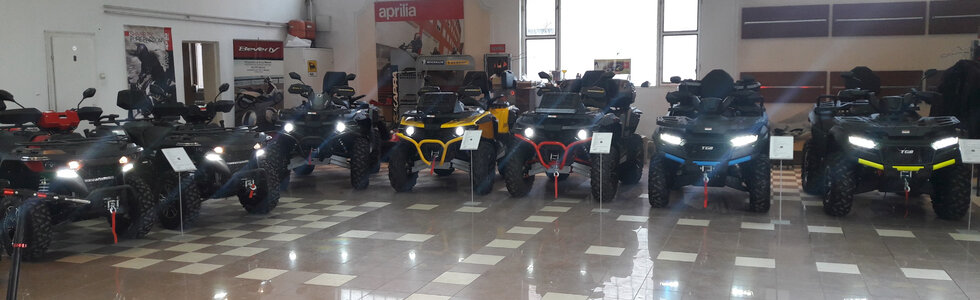 dealer-image
