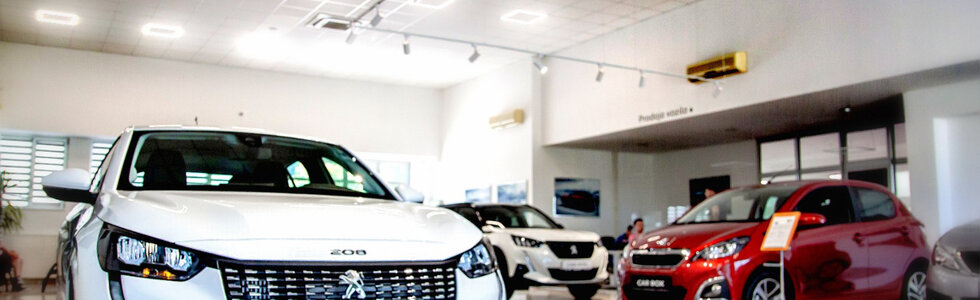 dealer-image