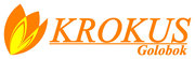 dealer-logo