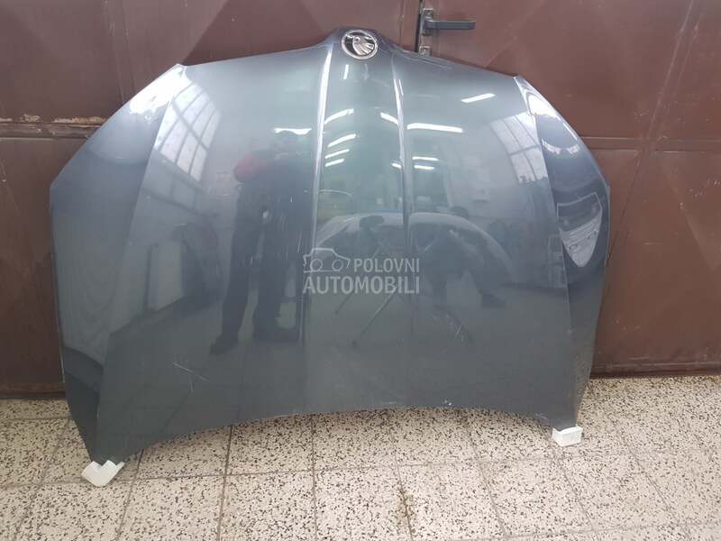 Hauba za Škoda Octavia