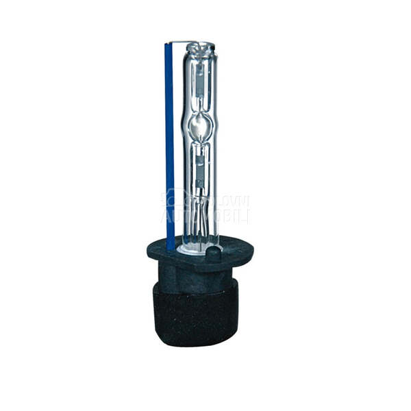 XENON SIJALICA BEAR H1  