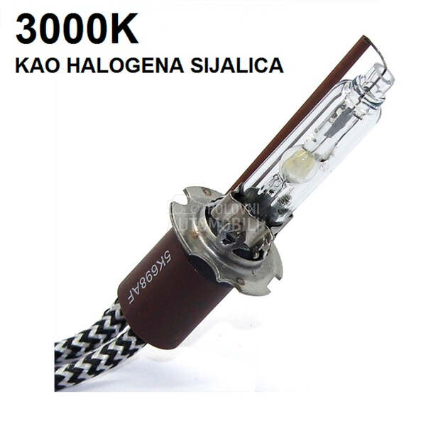 XENON SIJALICA BEAR H3  