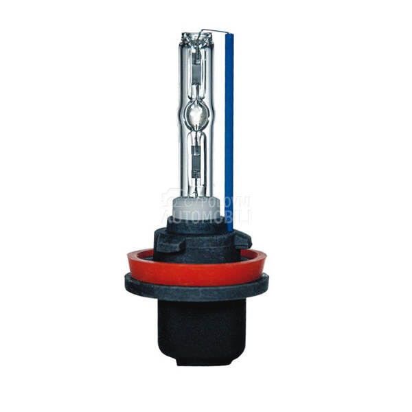 XENON SIJALICA BEAR H9  