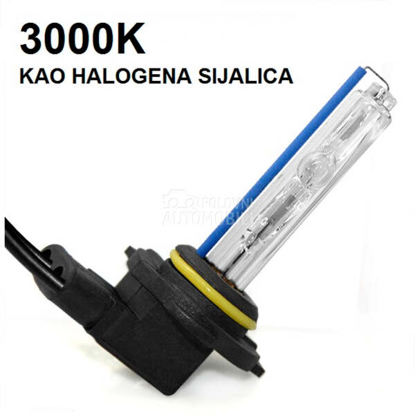 XENON SIJALICA BEAR H11  
