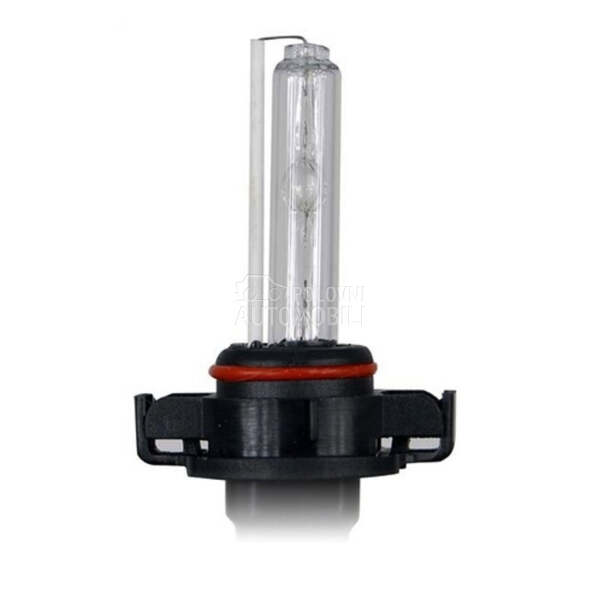 XENON SIJALICA BEAR H16  