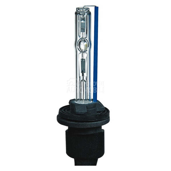 XENON SIJALICA BEAR H27/880  
