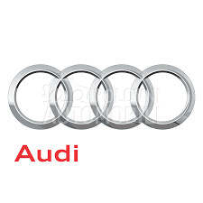 Delovi za Audi A4 2009. god.