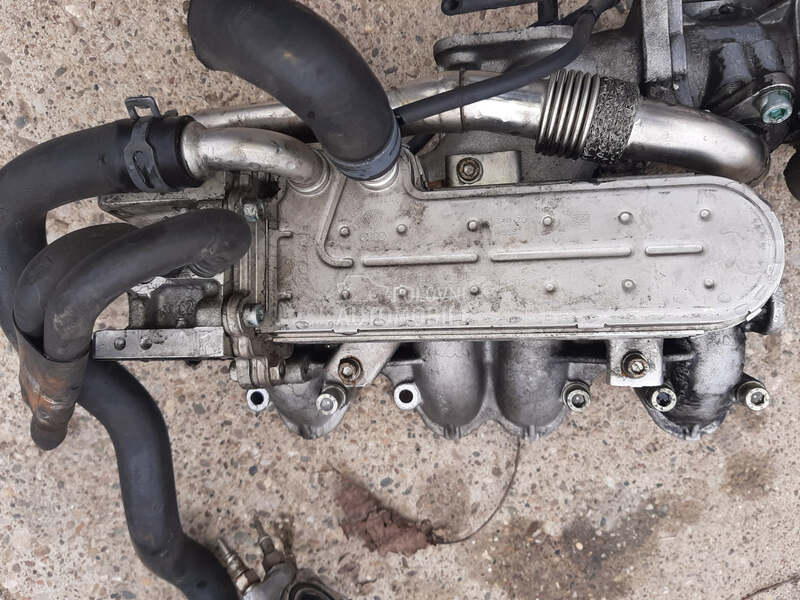 Hladnjak eger ventila za Volkswagen Golf 4
