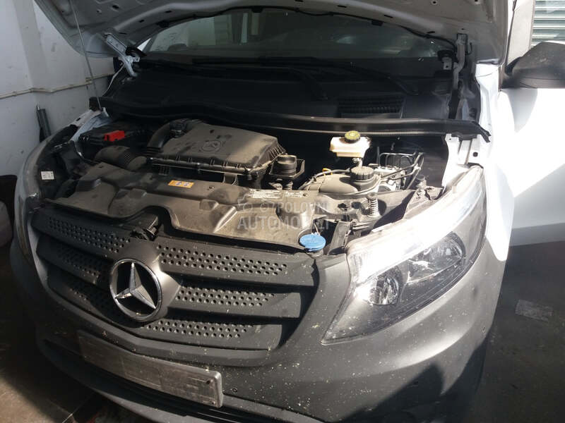 Vito w447