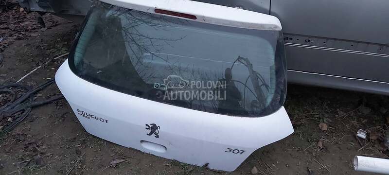 HAUBA za Peugeot 307