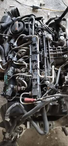 1,6tdi dizne za Volkswagen Golf 6, Passat B6, Passat B7 ... od 2009. do 2014. god.