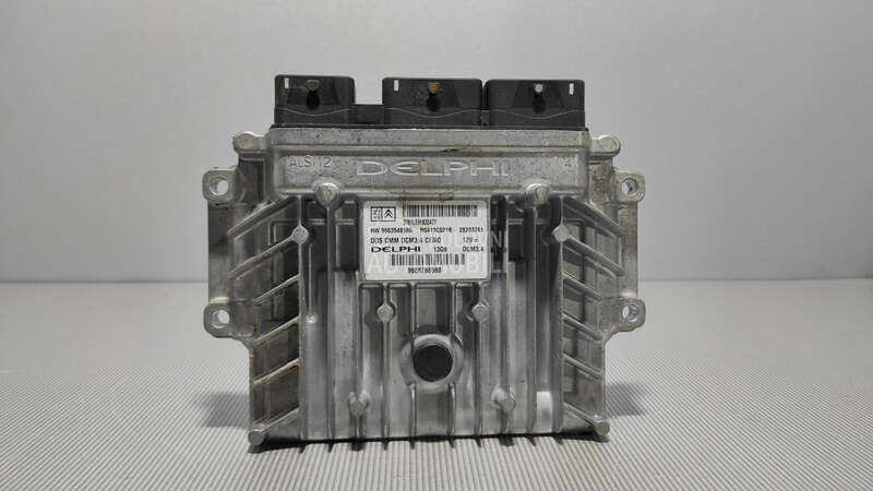 ELEKTRONIKA MOTORA za Peugeot 407