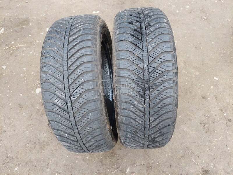 Goodyear 195/55 R16 Zimska