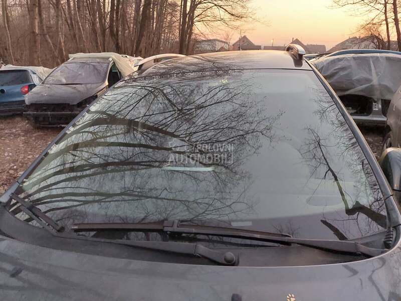 panorama za Peugeot 207