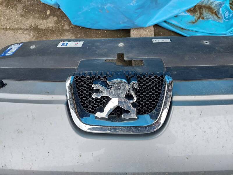 znak za Peugeot 407