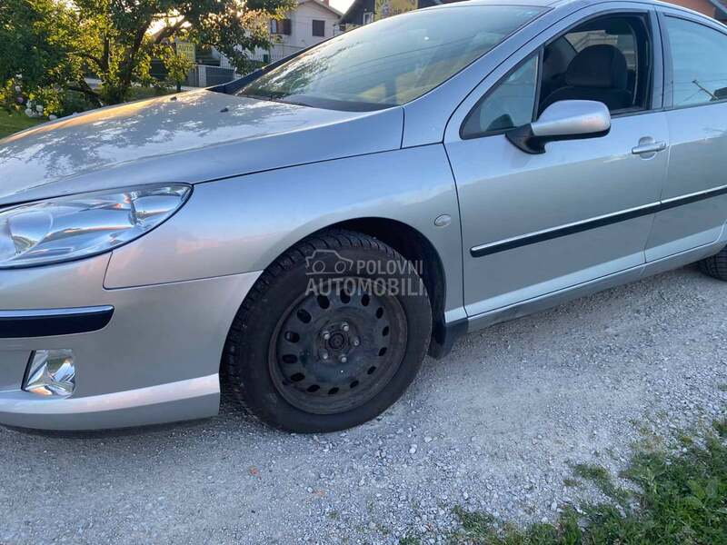 Blatobran i krilo za Peugeot 407