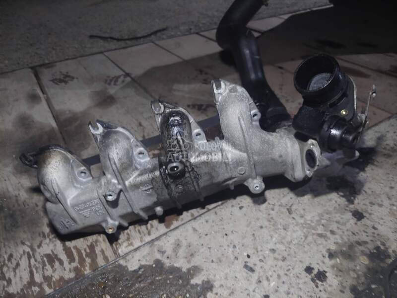 Usisna grana za Peugeot 307