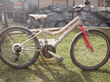 Capriolo Diavolo 240 Zlatno Crveni (može zamena), 100 €, 2019. , Dečiji bicikli i trotineti, Beograd