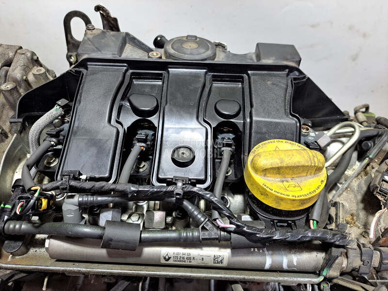 DIZNA za Renault Scenic