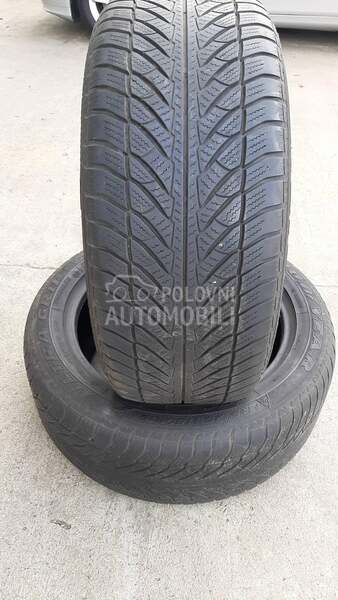 Goodyear 255/50 R19 Zimska